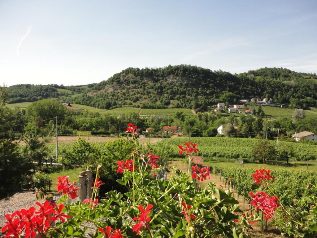 Agriturismo Nonna Du ガーヴィ エクステリア 写真